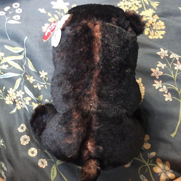 TY Classic Collection Velvety Kodi Bear Stuffed Animal - Picture 8 of 8
